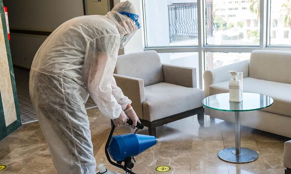 professional fogging of mould spores