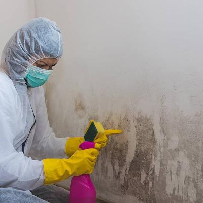 lady professionally removing mould
